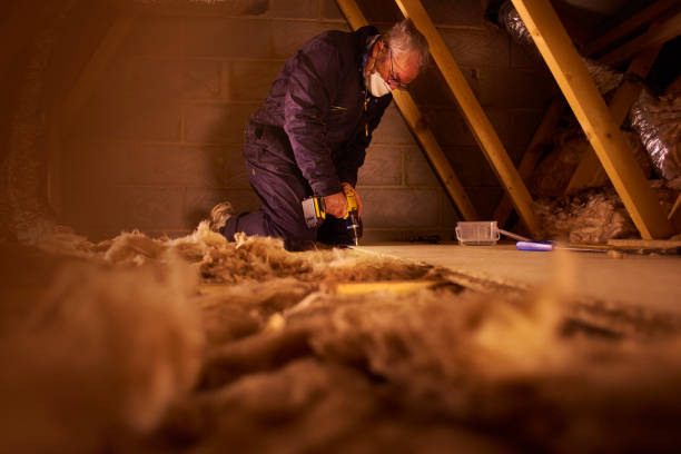 Best Insulation Replacement Services  in Inverness Highlands South, FL